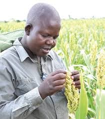 GreenRoots Rural Uganda