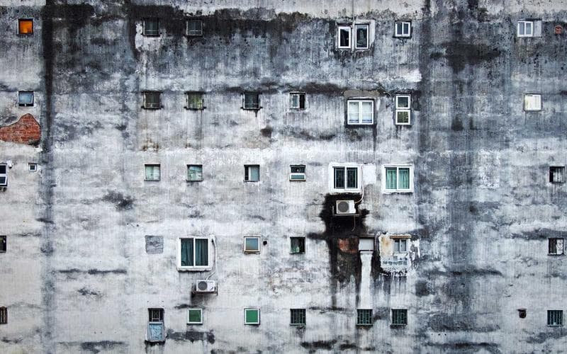 The Future of Regenerative Agriculture