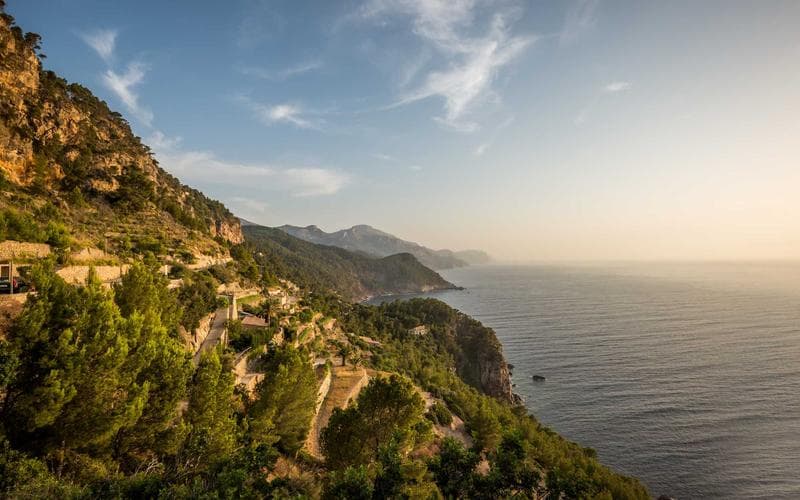 The Economics of Sustainable Farming