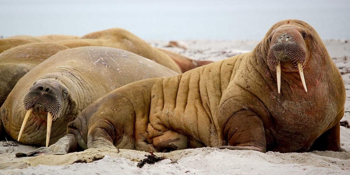 Sustainable Farming Practices for the Modern Era